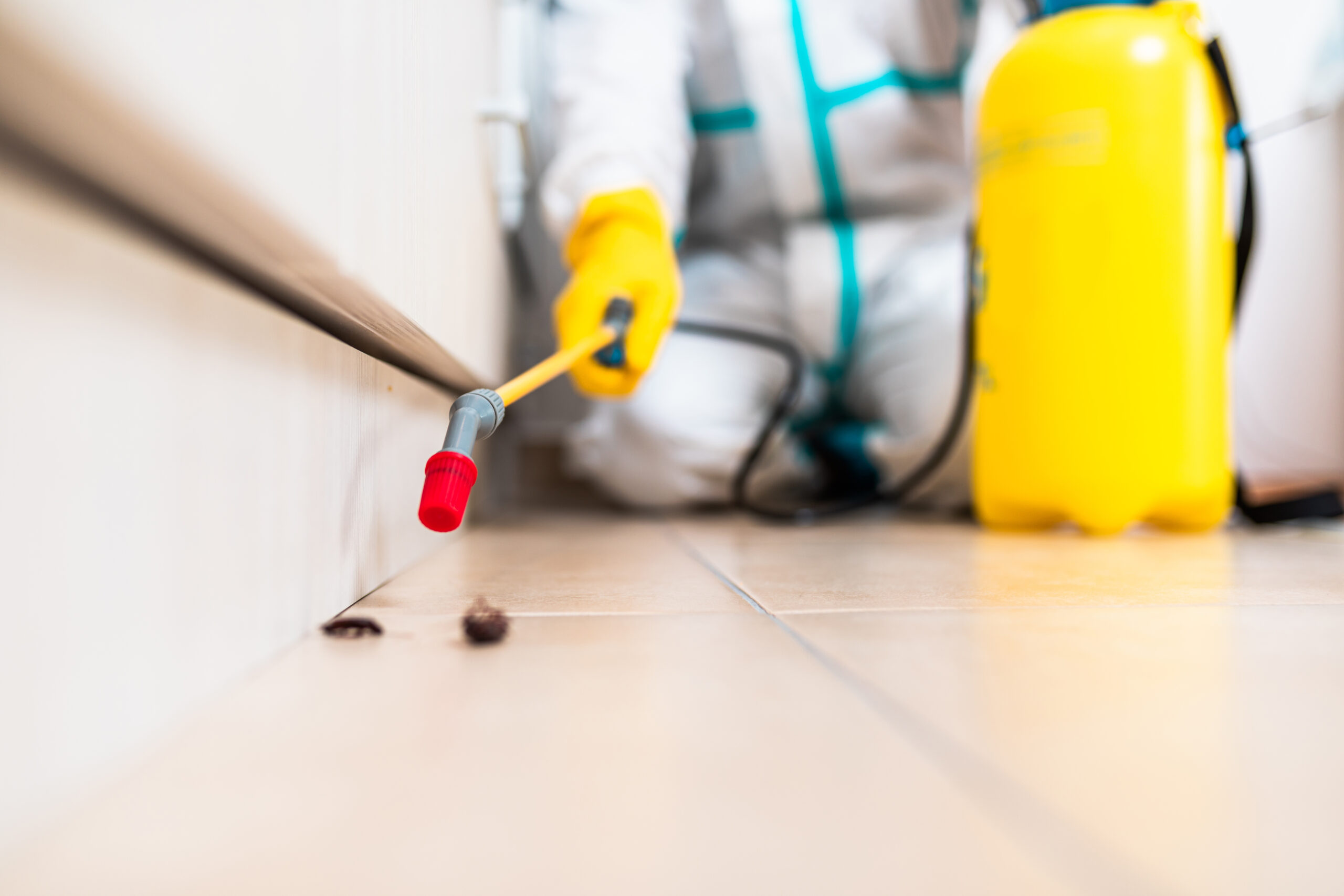 pest control operation Pinellas Park