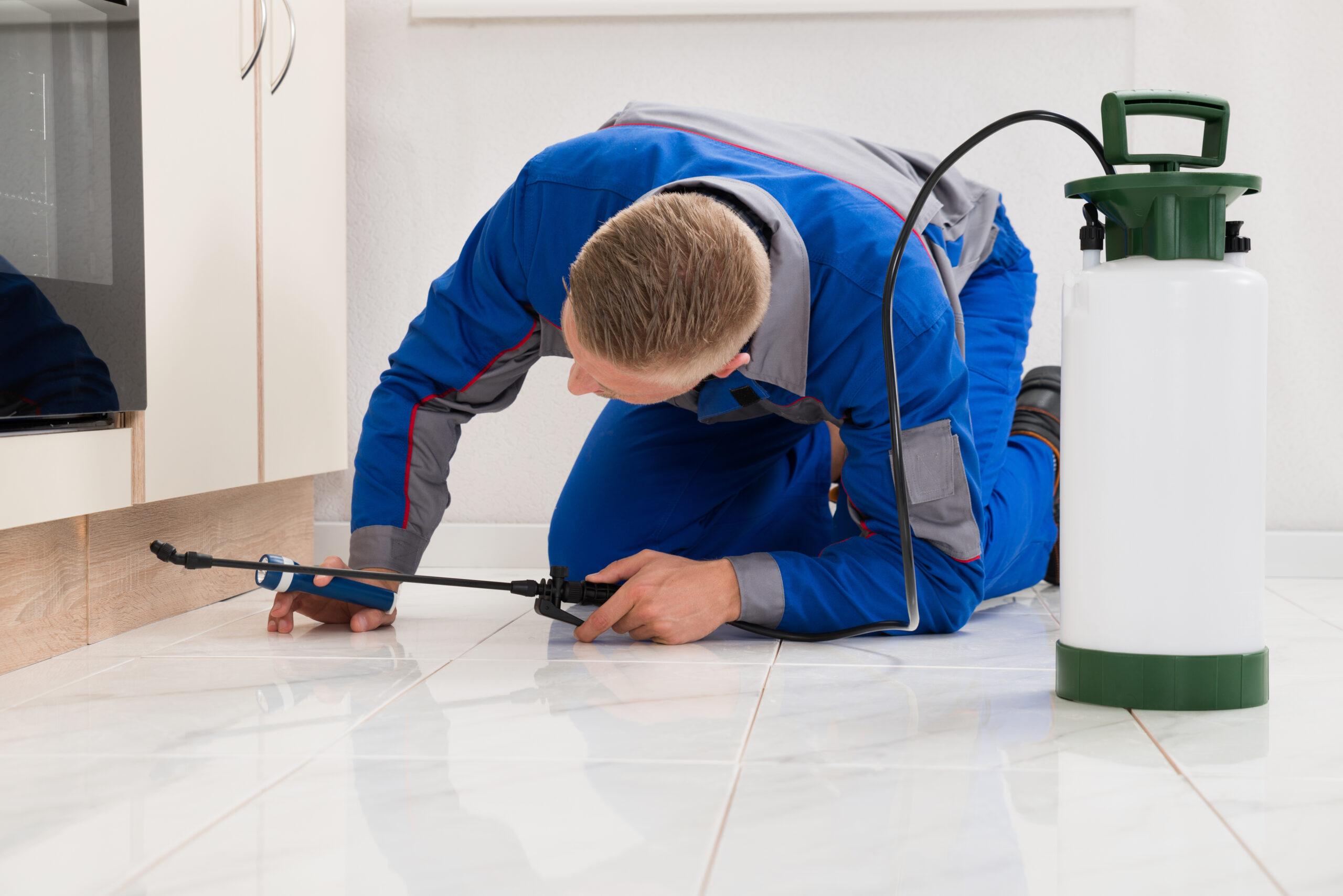 Saint Petersburg pest control service